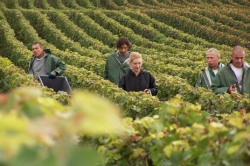 Champagne Alain NAVARRE - Vendange en Champagne Champagne Alain NAVARRE - Vendange en Champagne