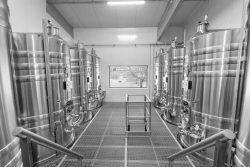 Champagne Alain NAVARRE - La cuverie : début de la transformation Champagne Alain NAVARRE - La cuverie : début de la transformation